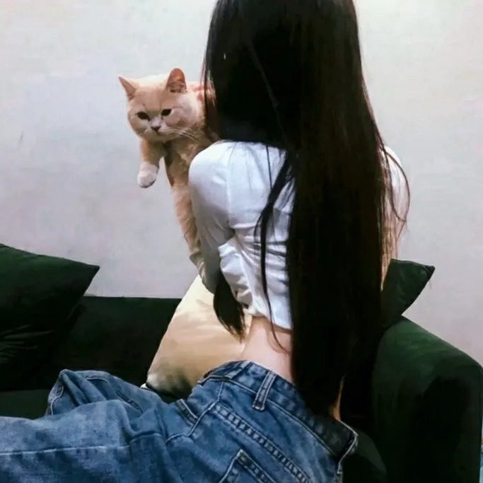 终极追杀令