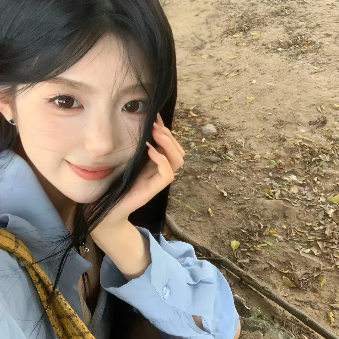 乌鼠机密档案